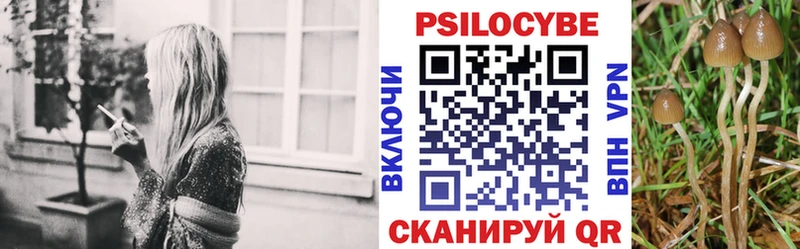 закладки Печоры Галлюциногенные грибы Psilocybine cubensis